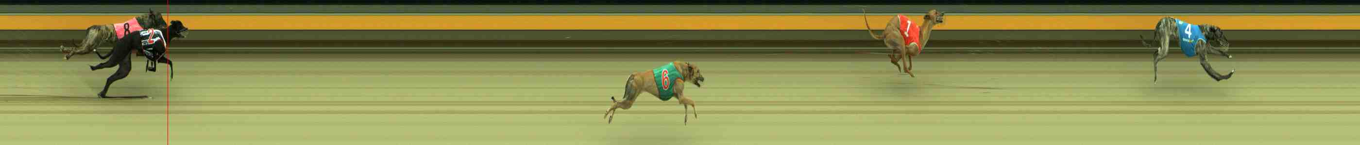 Race result finish photo